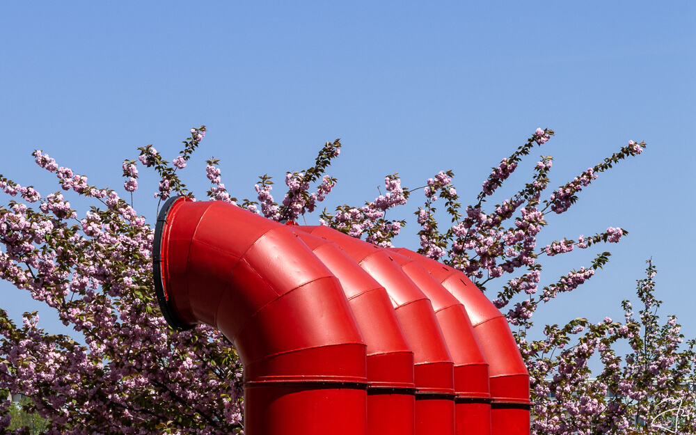 Chimneys in blossom